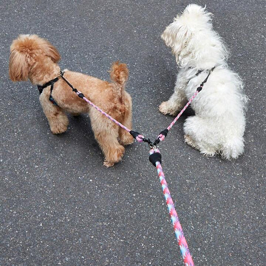 Laisse-chien-confort-TwinLine