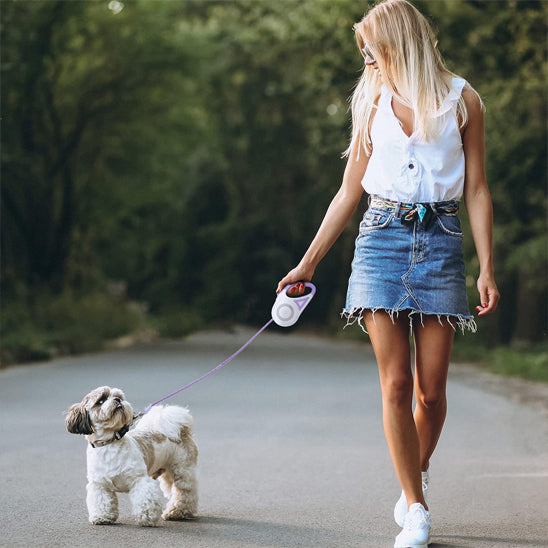 Laisse-pour-chien-promenade-GlowWalk