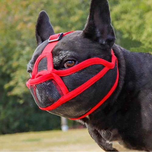 Museliere-pour-chien-Rouge-AirMuzzle