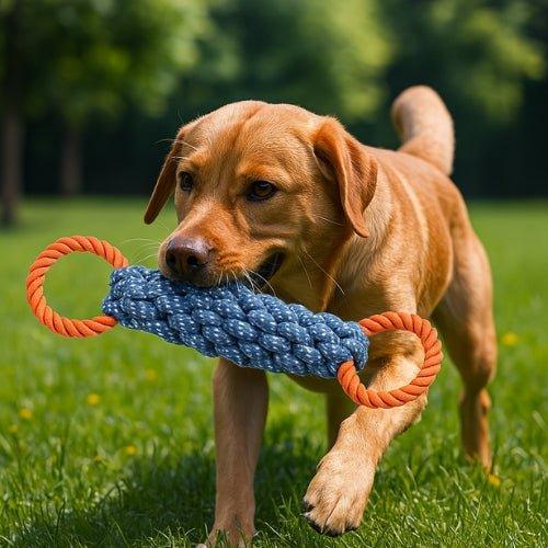 Jouet-pour-chien-Plaisir-PowerRope