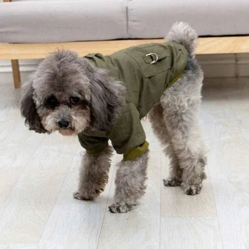 Manteau-chien-Vert-WarmHood