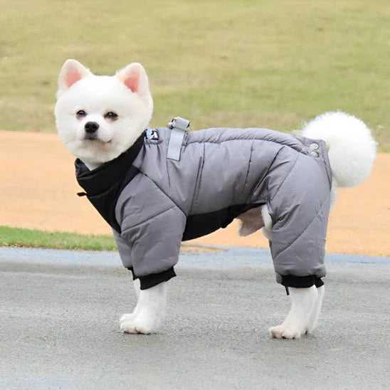 Manteau-pour-chien-Gris-NordikDog