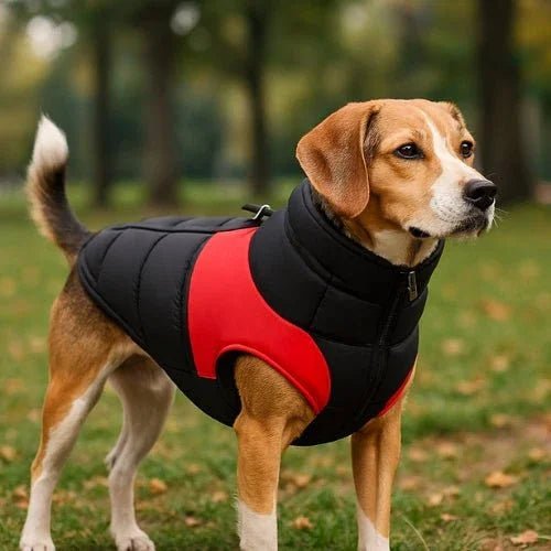 Vetement-chien-Rouge-NeoDog