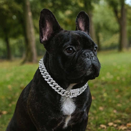 Collier-chien-argent-couleur-NoblePaw