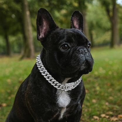 Collier-chien-argent-couleur-NoblePaw