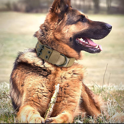 Collier chien vert DogOps