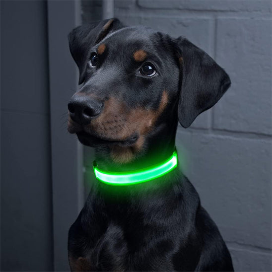 Collier-lumineux-chien-vert-WoofLight