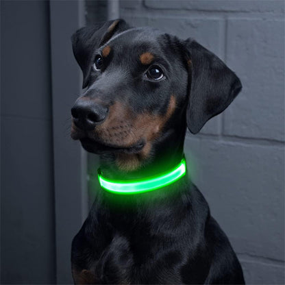 Collier-lumineux-chien-vert-WoofLight