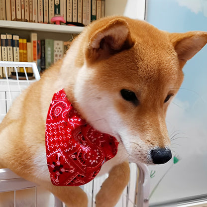 Collier pour chien rouge BandaPaw