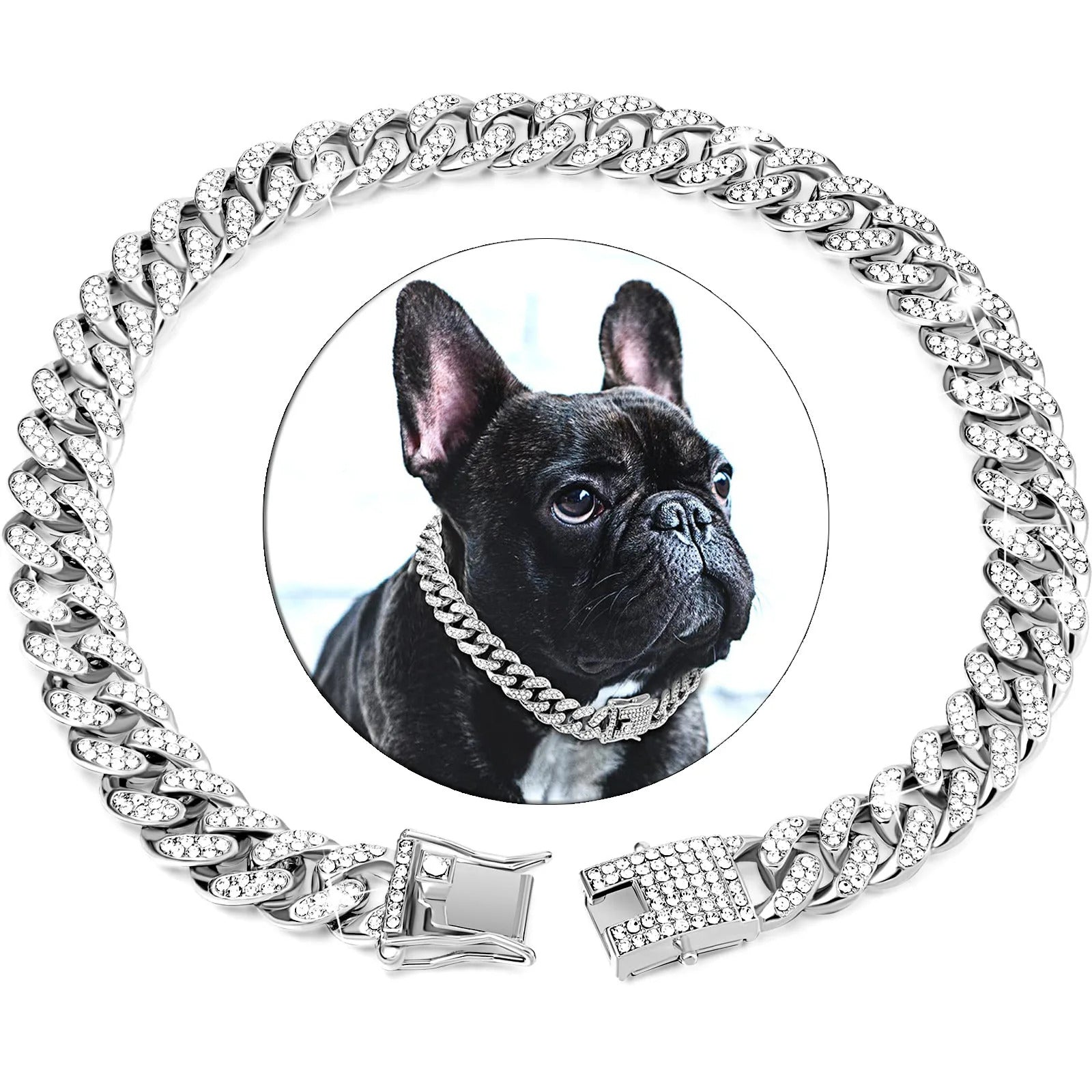 Collier_chien_argent-couleur_NoblePaw