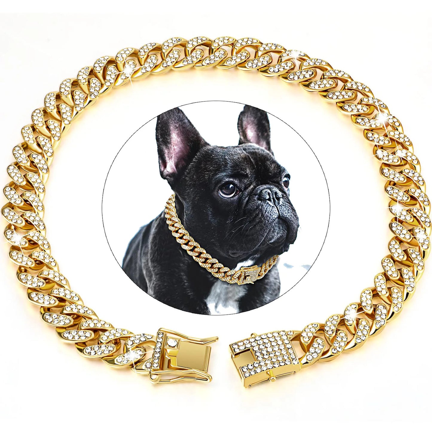Collier_chien_or-couleur_NoblePaw