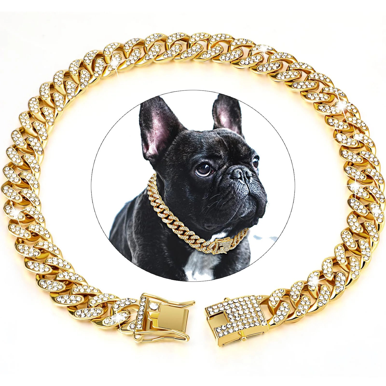 Collier_chien_or-couleur_NoblePaw