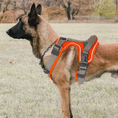 Harnais-anti-traction-chien-Orange-StrongWalk