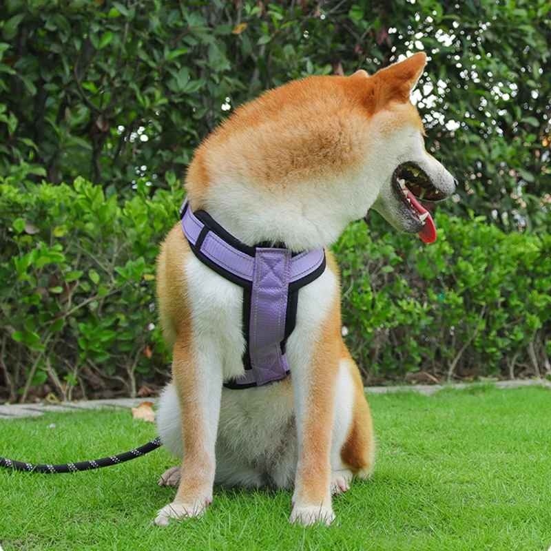 Harnais-anti-traction-chien-Promenade-ReflectSafe
