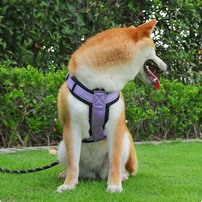 Harnais-anti-traction-chien-Promenade-ReflectSafe