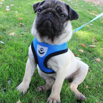 Harnais-chien-Bleu-ConfortPup