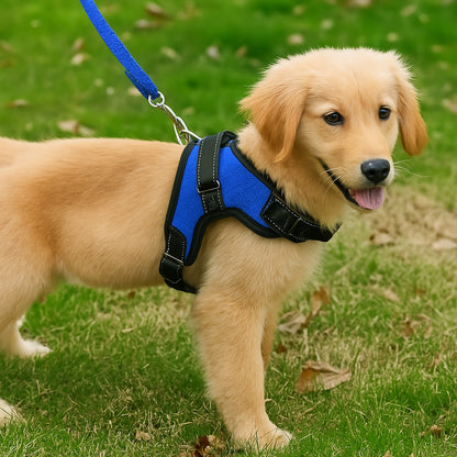 Harnais-chien-Bleu-DogGuard