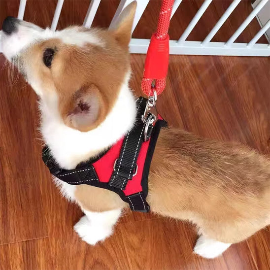 Harnais-chien-Confort-DogGuard