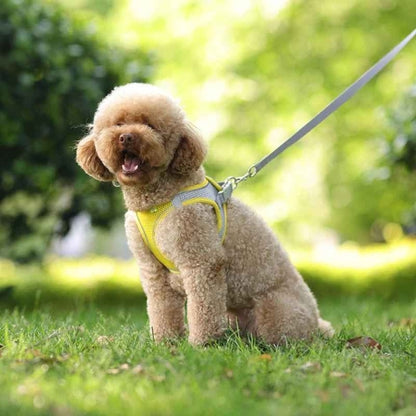 Harnais-chien-Marche-Pawppy