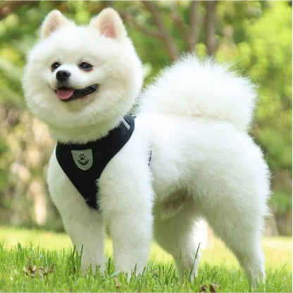 Harnais-chien-Noir-ConfortPup