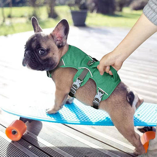 Harnais-chien-Plaisir-CaniGuard