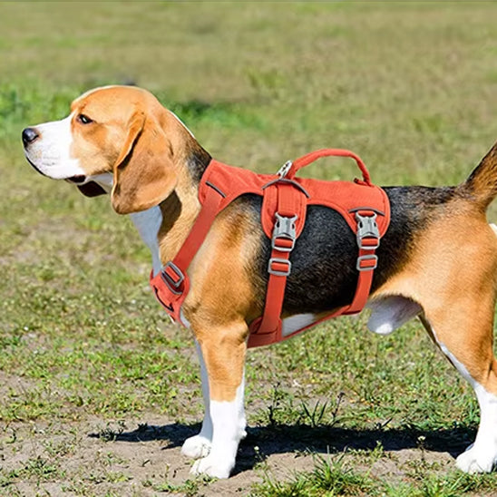 Harnais-chien-Promenade-CaniGuard