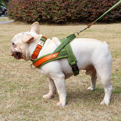 Harnais-chien-Promenade-PawSecure
