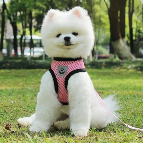 Harnais-chien-Rose-ConfortPup