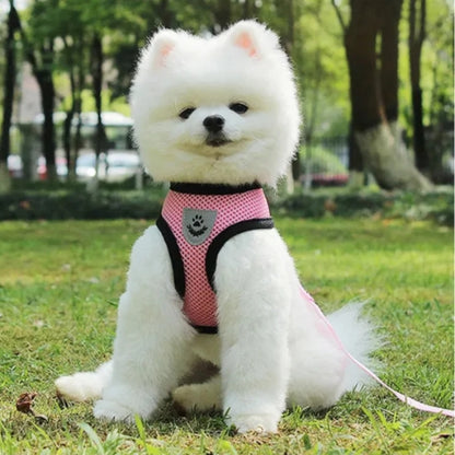 Harnais-chien-Rose-ConfortPup