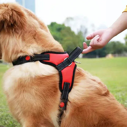 Harnais-chien-Rouge-DogGuard