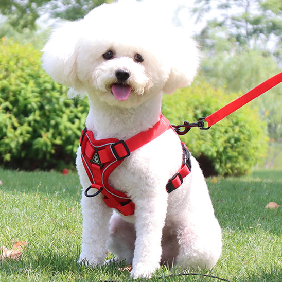 Harnais-chien-Rouge-FlexiPup