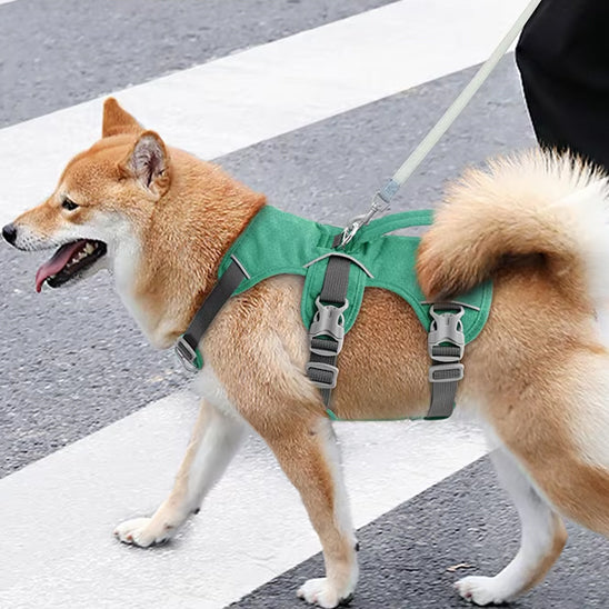 Harnais-chien-Vert-CaniGuard