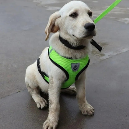 Harnais-chien-Vert-ConfortPup