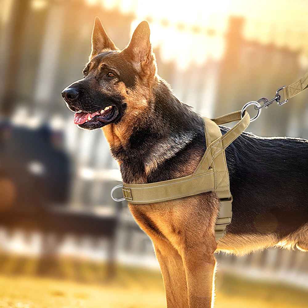 Harnais-chien-anti-traction-Kaki-PatrolGrip