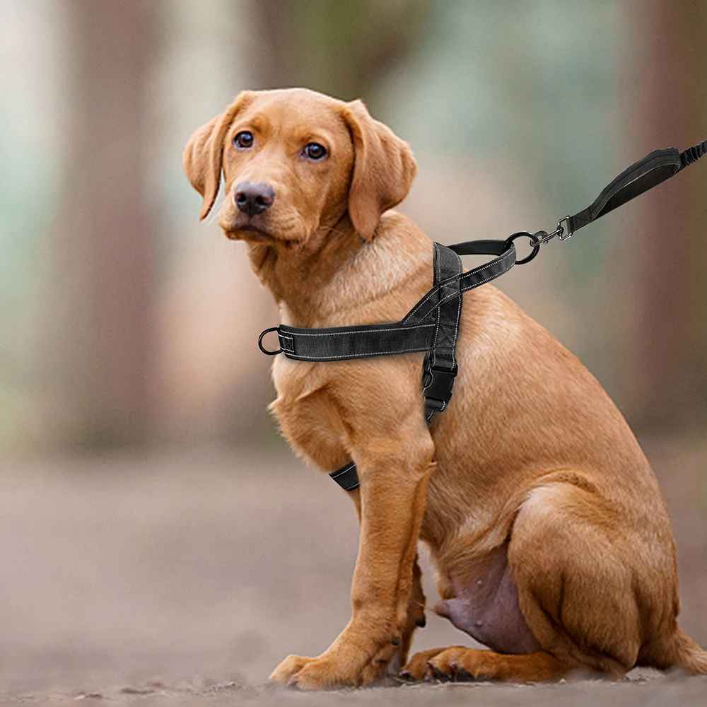 Harnais-chien-anti-traction-Noir-PatrolGrip