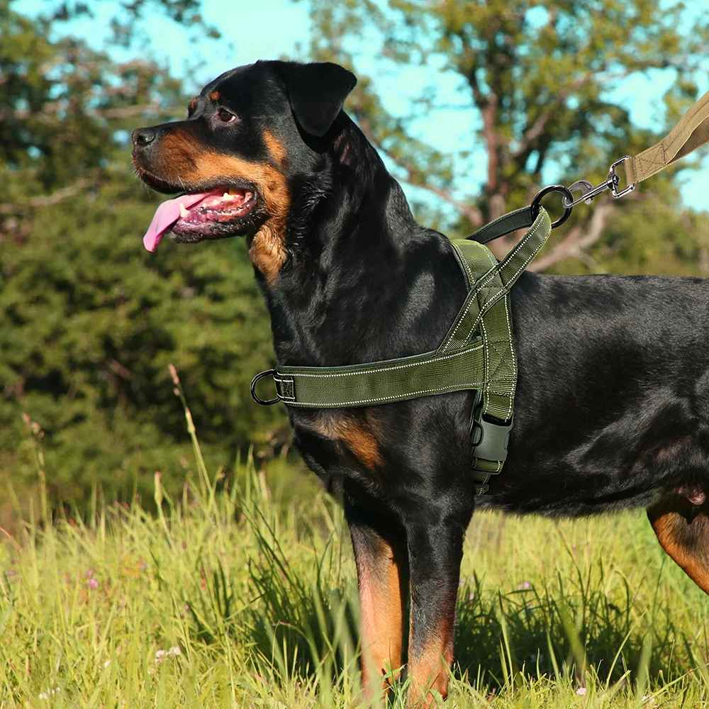 Harnais-chien-anti-traction-Vert-PatrolGrip