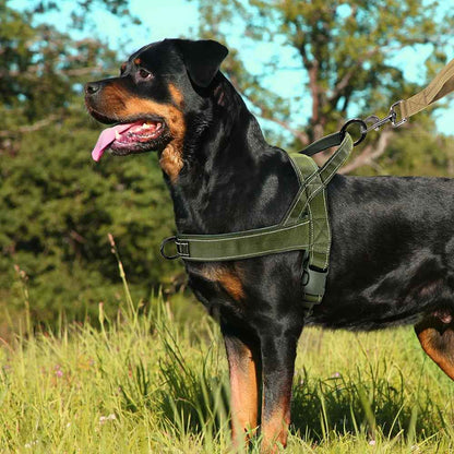 Harnais-chien-anti-traction-Vert-PatrolGrip