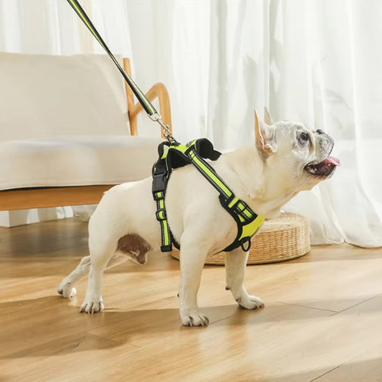 Harnais-pour-chien-Confort-TrailPaw