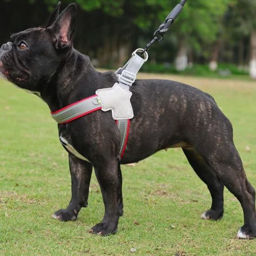 Harnais-pour-chien-Rouge-DogRider