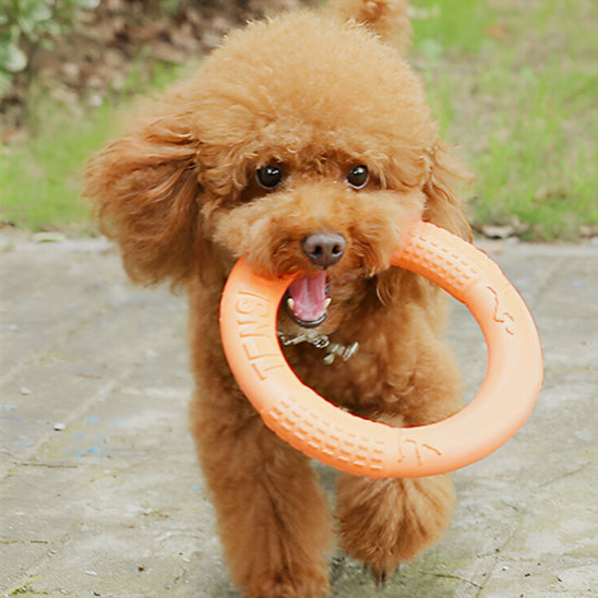 Jouet-chien-Flotable-PowerRing