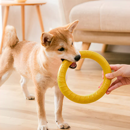 Jouet-chien-Joie-PowerRing