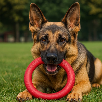 Jouet-chien-Rouge-PowerRing