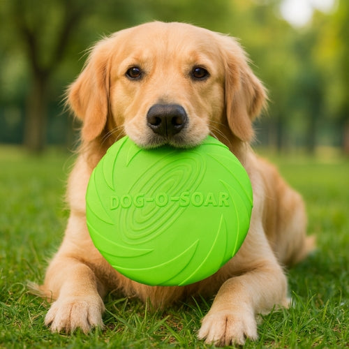 Jouet chien | AeroDisc™