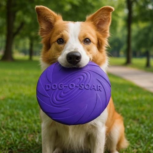 Jouet chien | AeroDisc™