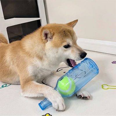 Jouet-pour-chien-Amusant-BottleBall