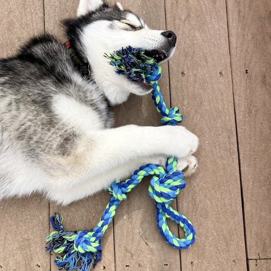 Jouet-pour-chien-Dentaire-RopeFun