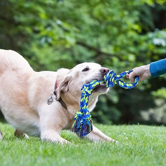 Jouet-pour-chien-Exterieur-RopeFun