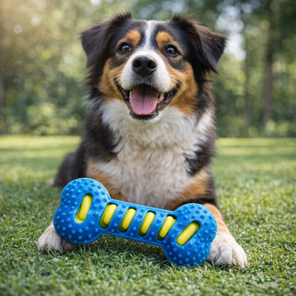 Jouet Chien | GripBone™