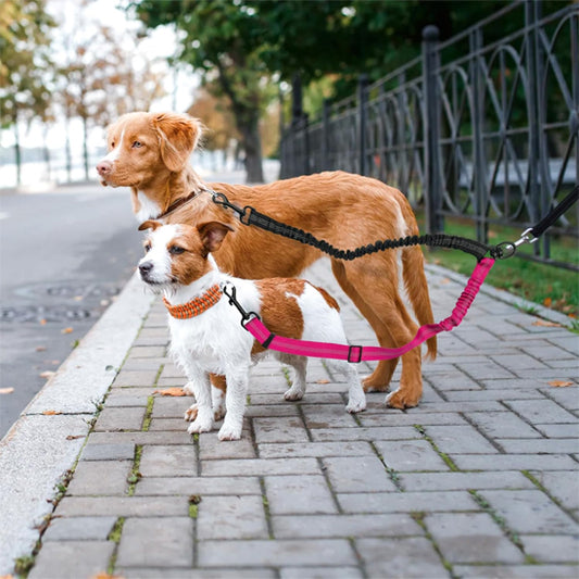 Laisse-chien-Rose-Rouge-TwiceWalk