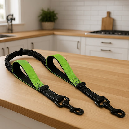 Laisse-chien-Vert-clair-FlexiDuo